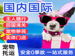 贵阳航空空运国际宠物托运 【国